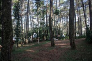 Photo Camping Costa Brava