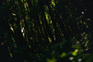 Photo Filz kleben Camper