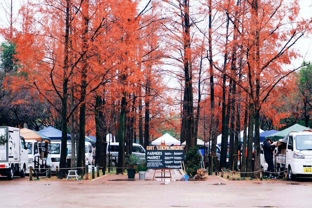 Photo Camper rental Japan